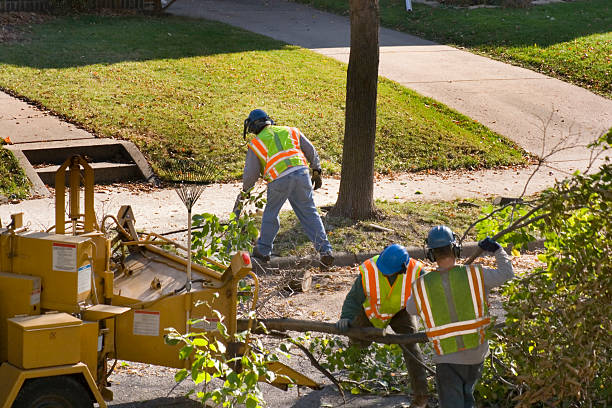 Lawn Watering Services in Eidson Road, TX